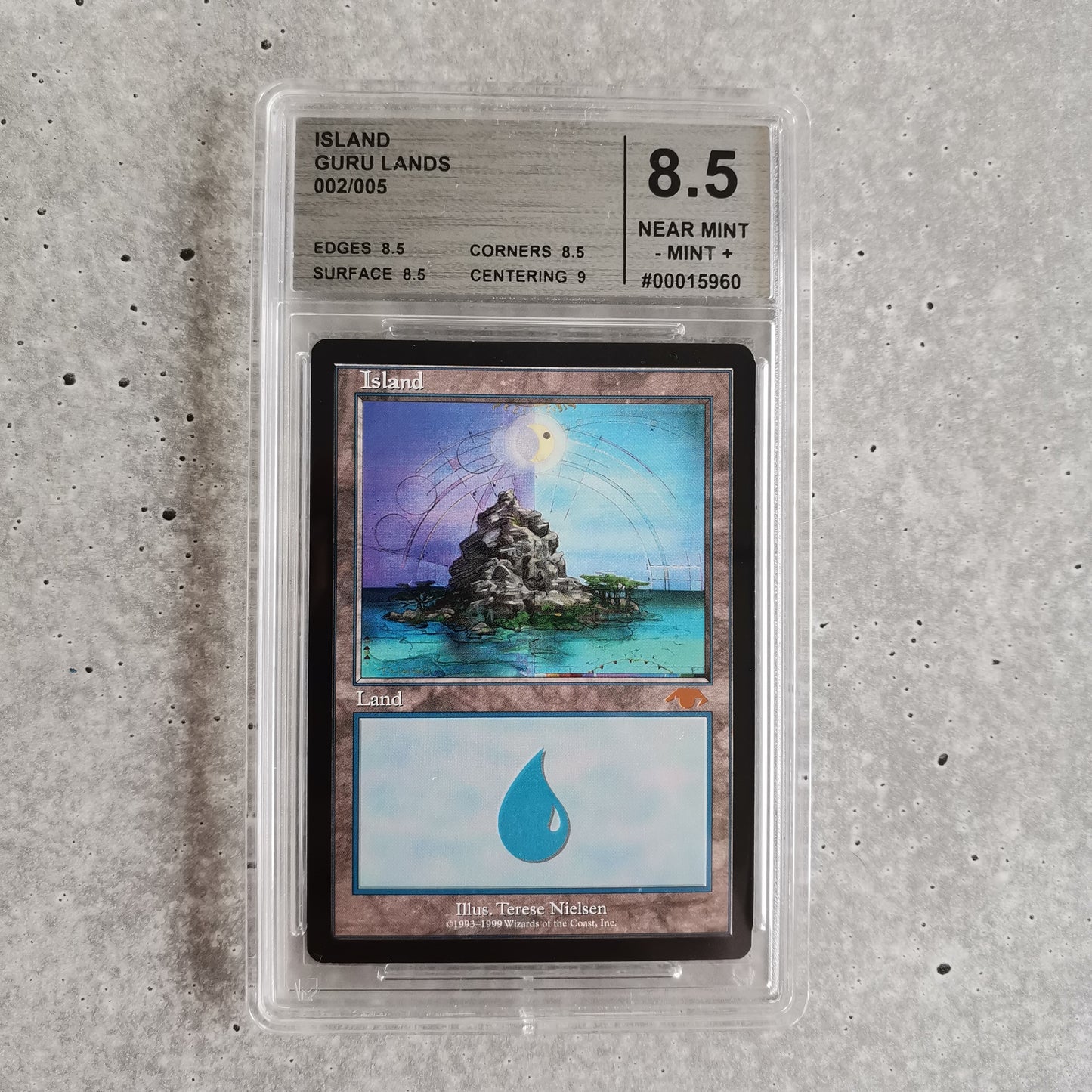 Magic the Gathering - Island (Guru Lands, CMG 8.5 - Near Mint to Mint)